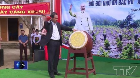 Lễ phát động Tết trồng cây tại các địa phương trong tỉnh