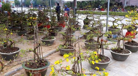 TP Thanh Hóa tổ chức Chương trình nghệ thuật và bắn pháo hoa tại Quảng trường Lam Sơn