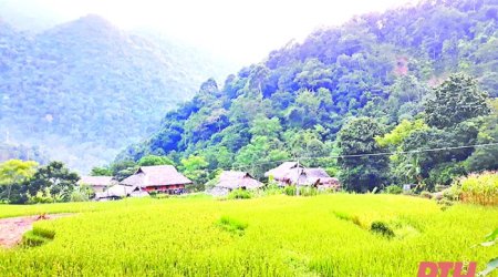 Thích ứng để “sống chung” với dịch bệnh
