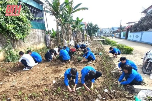 Đoàn viên, thanh niên Thiệu Hóa vệ sinh môi trường, trồng cây xanh trên các tuyến đường.jpg