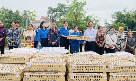 Tỉnh đoàn, Hội Liên hiệp thanh niên tỉnh trao 4000 gà giống  cho hộ dân khó khăn
