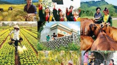 Truyền hình trực tiếp “Cả nước chung tay vì người nghèo” vào 17/10 hằng năm