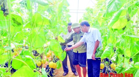 Nông dân làm giàu nhờ công nghệ 4.0