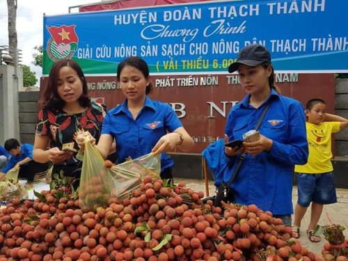 Đo&agrave;n vi&ecirc;n trường Thạch Th&agrave;nh 1 b&aacute;n n&ocirc;ng sản gi&uacute;p b&agrave; con nh&acirc;n d&acirc;n.jpg