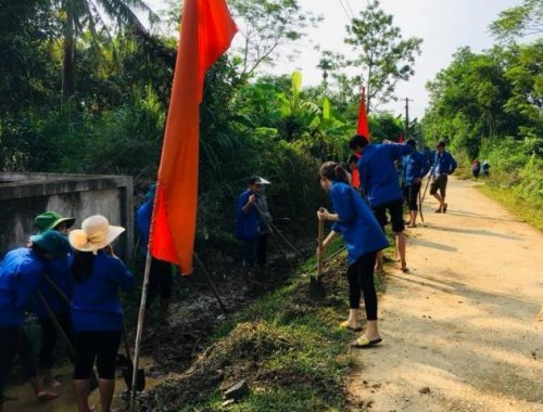vệ sinh m&ocirc;i trường hoa phượng đỏ.jpg