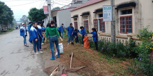 trong hoa ven đường.JPG