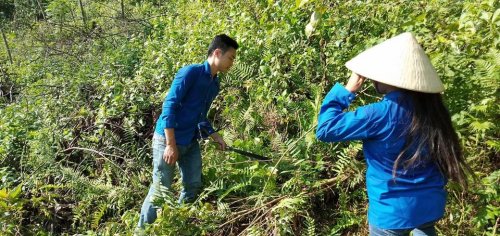 B&aacute; thước (2).jpg