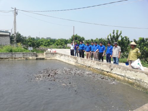 nu&ocirc;i c&aacute;.jpg