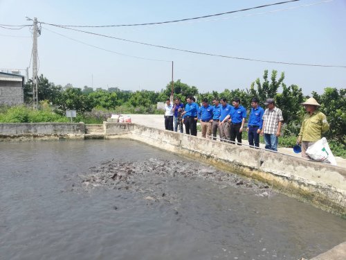 đo&agrave;n kt thăm quan m&ocirc; h&igrave;nh thanh ni&ecirc;n ph&aacute;t triển kinh tế.jpg