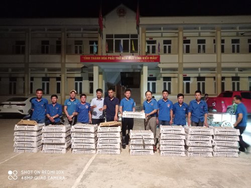 BTV Tỉnh đo&agrave;n trao g&agrave; cho c&aacute;c B&iacute; thư chi đo&agrave;n.jpg