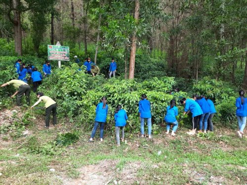 Ph&aacute;t quang.jpg