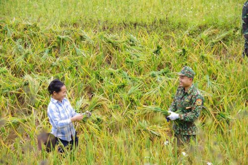 2cac8b01ff0c0152581d (1).jpg