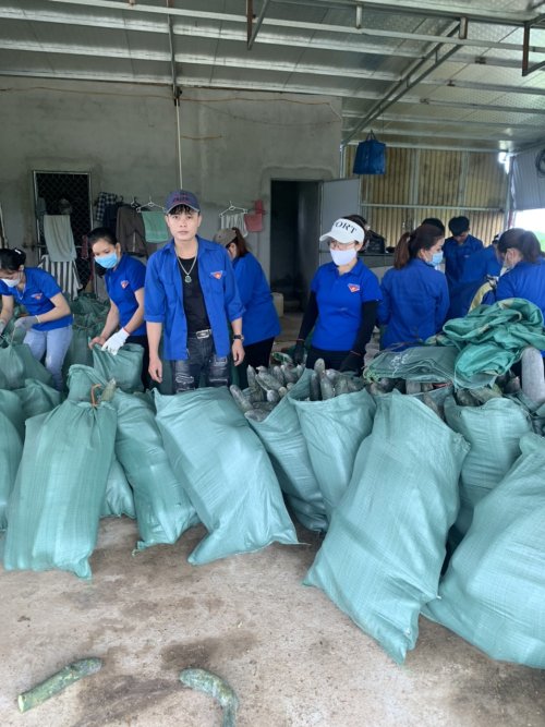 ảnh 2. Đo&agrave;n x&atilde; Xu&acirc;n H&ograve;a t&igrave;nh nguyện gi&uacute;p huyện thu gom b&iacute; xanh.jpg