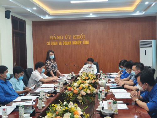 Đc Đinh Thị Thanh H&agrave;- Ph&oacute; B&iacute; thư Đảng ủy khối ph&aacute;t biểu chỉ đạo tại Hội nghị.jpg
