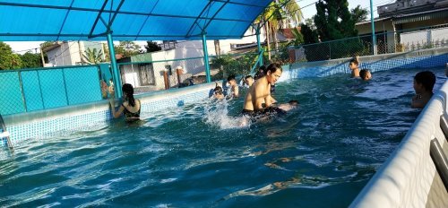 lớp bơi đ&ocirc;ng sơn.jpg