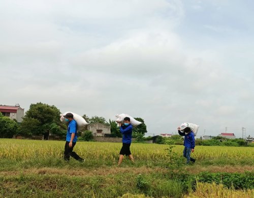 13. Nga Sơn 3.jpg