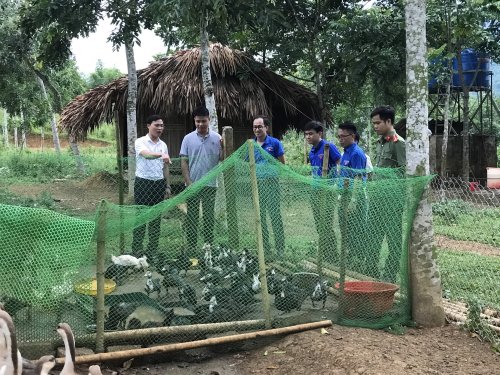 Tham quan m&ocirc; h&igrave;nh trang trại tổng hợp của B&iacute; thư chi đo&agrave;n ti&ecirc;n phong khởi nghiệp tại huyện B&aacute; Thước.jpg