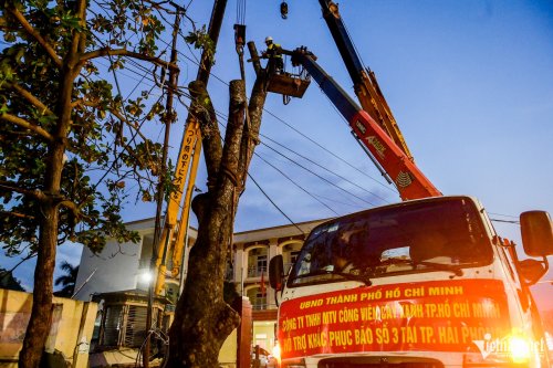 Hàng chục ngàn cây xanh ở Hải Phòng bị ảnh hưởng sau bão số 3.jpg