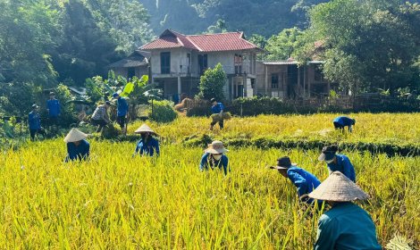 ĐỒNG LOẠT RA QUÂN NGÀY CHỦ NHẬT XANH TRÊN TOÀN TỈNH - HƯỞNG ỨNG CHIẾN DỊCH LÀM CHO THẾ GIỚI SẠCH HƠN NĂM 2025