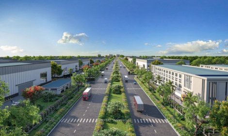 Vị thế mới từ những tập đoàn kinh tế mạnh
