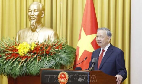 Ánh sáng soi đường